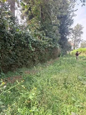 Land for Sale in Karen Fair Acres