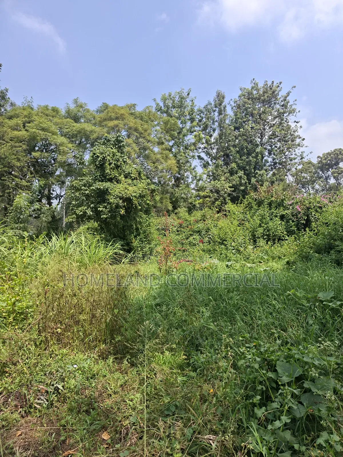 Land for Sale in Karen Fair Acres