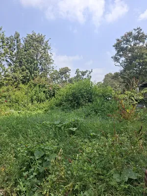 Land for Sale in Karen Fair Acres