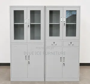 Executive Steel Filing Cabinet With Glass Door-Lockable Storage