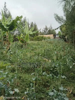 1/8 X 3 Pieces Farm