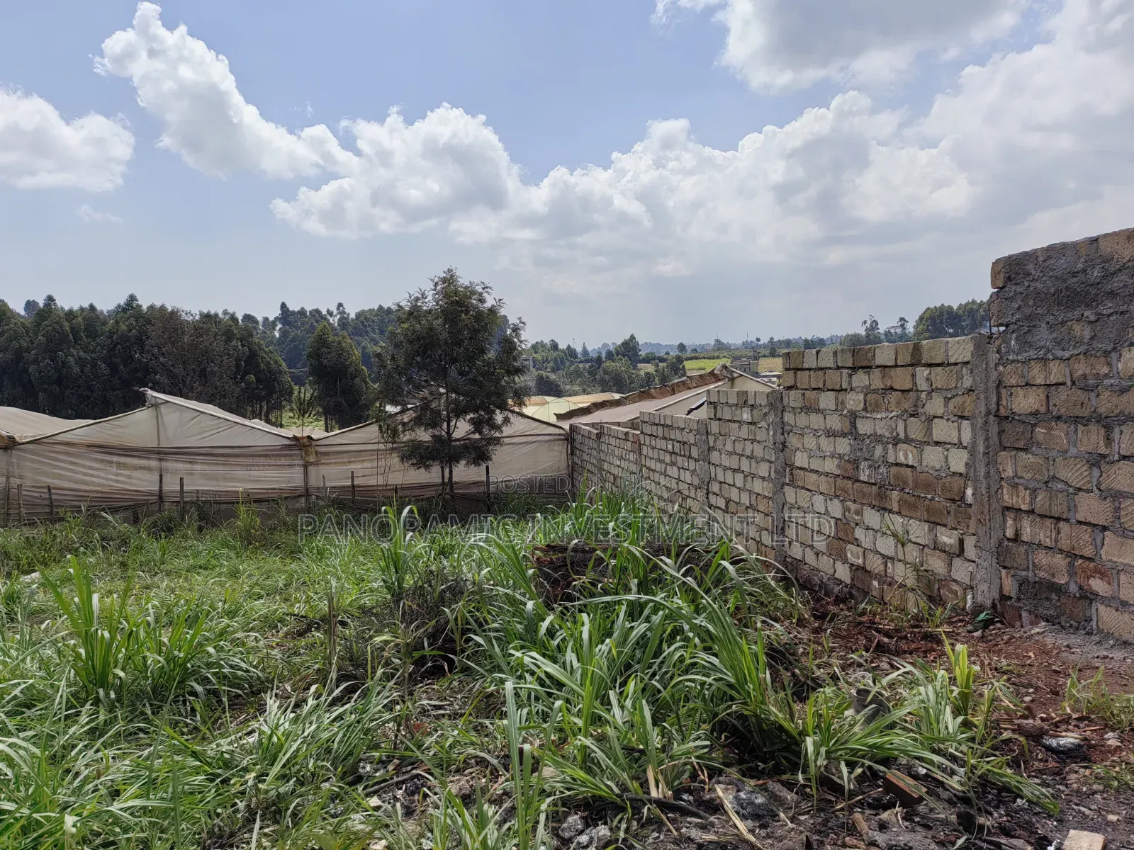 50x100 Plot for Sale in Kikuyu Kiambu County.