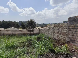 50x100 Plot for Sale in Kikuyu Kiambu County.