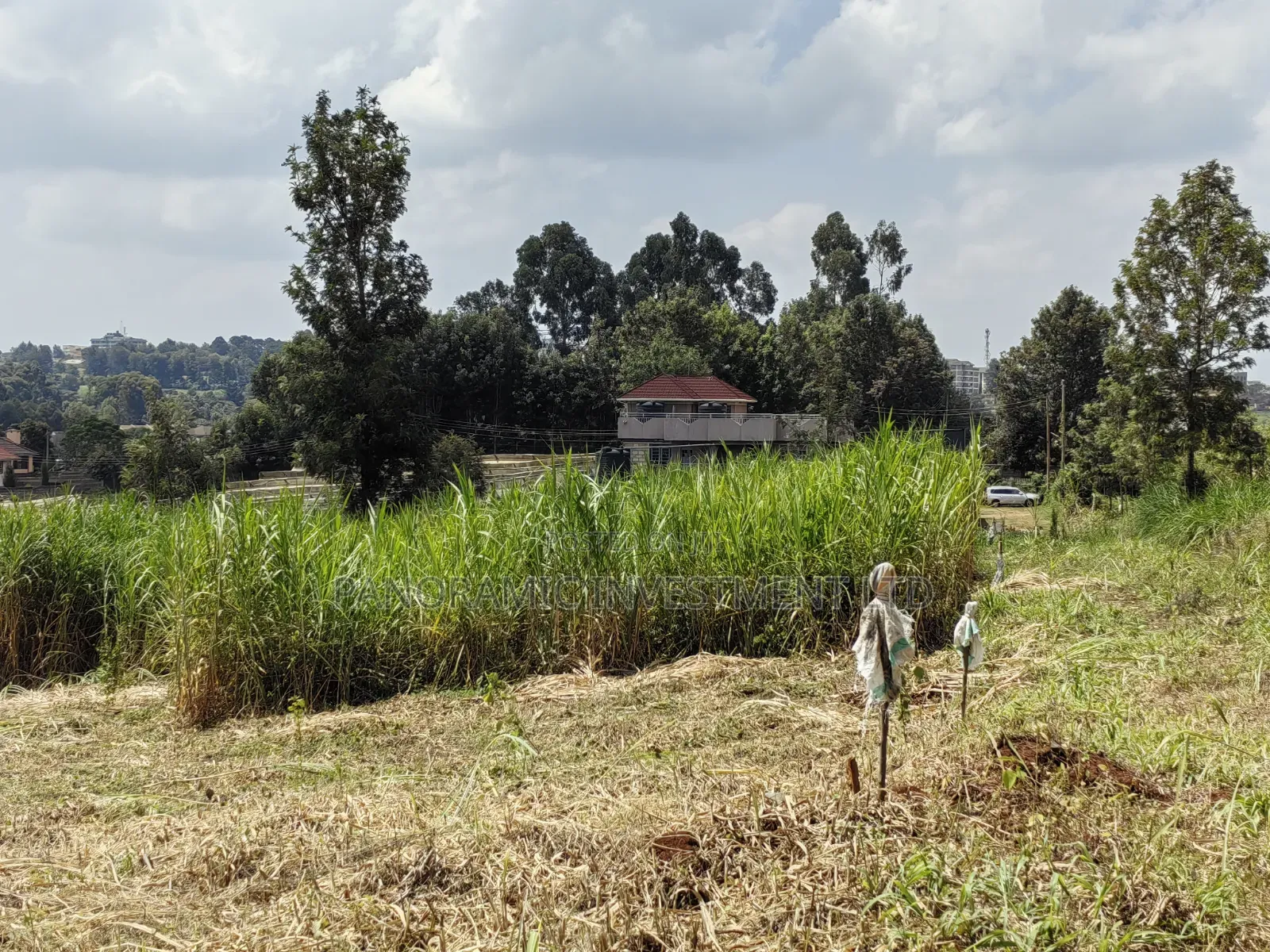 50x100 Plot for Sale in Kikuyu Kiambu County.