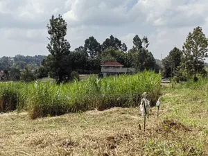 50x100 Plot for Sale in Kikuyu Kiambu County.