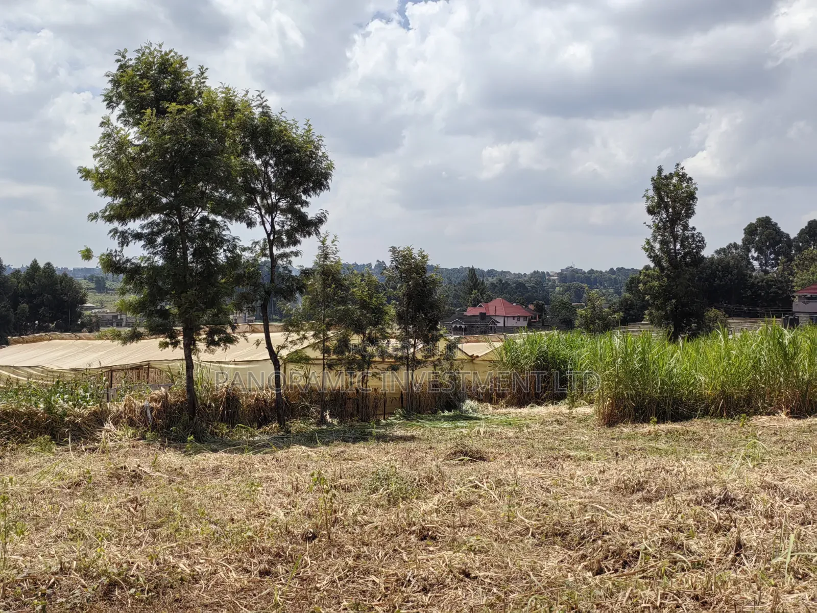 50x100 Plot for Sale in Kikuyu Kiambu County.