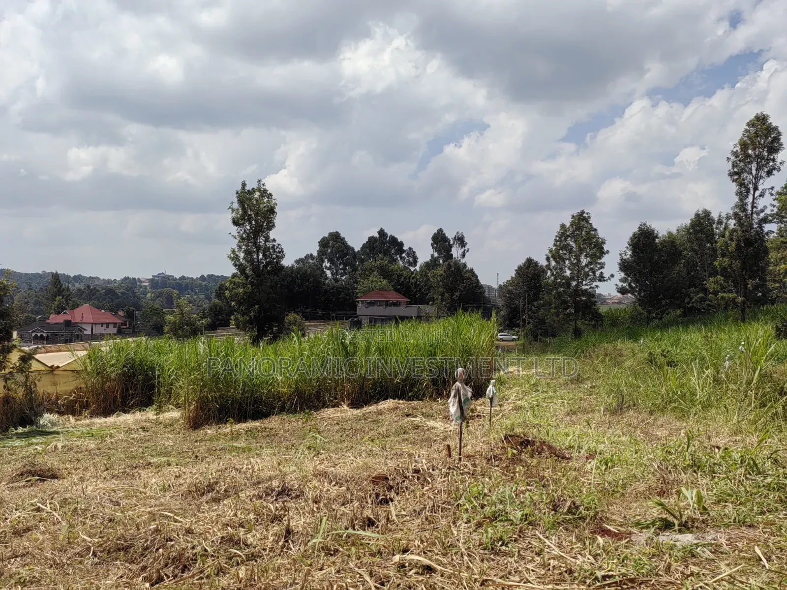 50x100 Plot for Sale in Kikuyu Kiambu County.