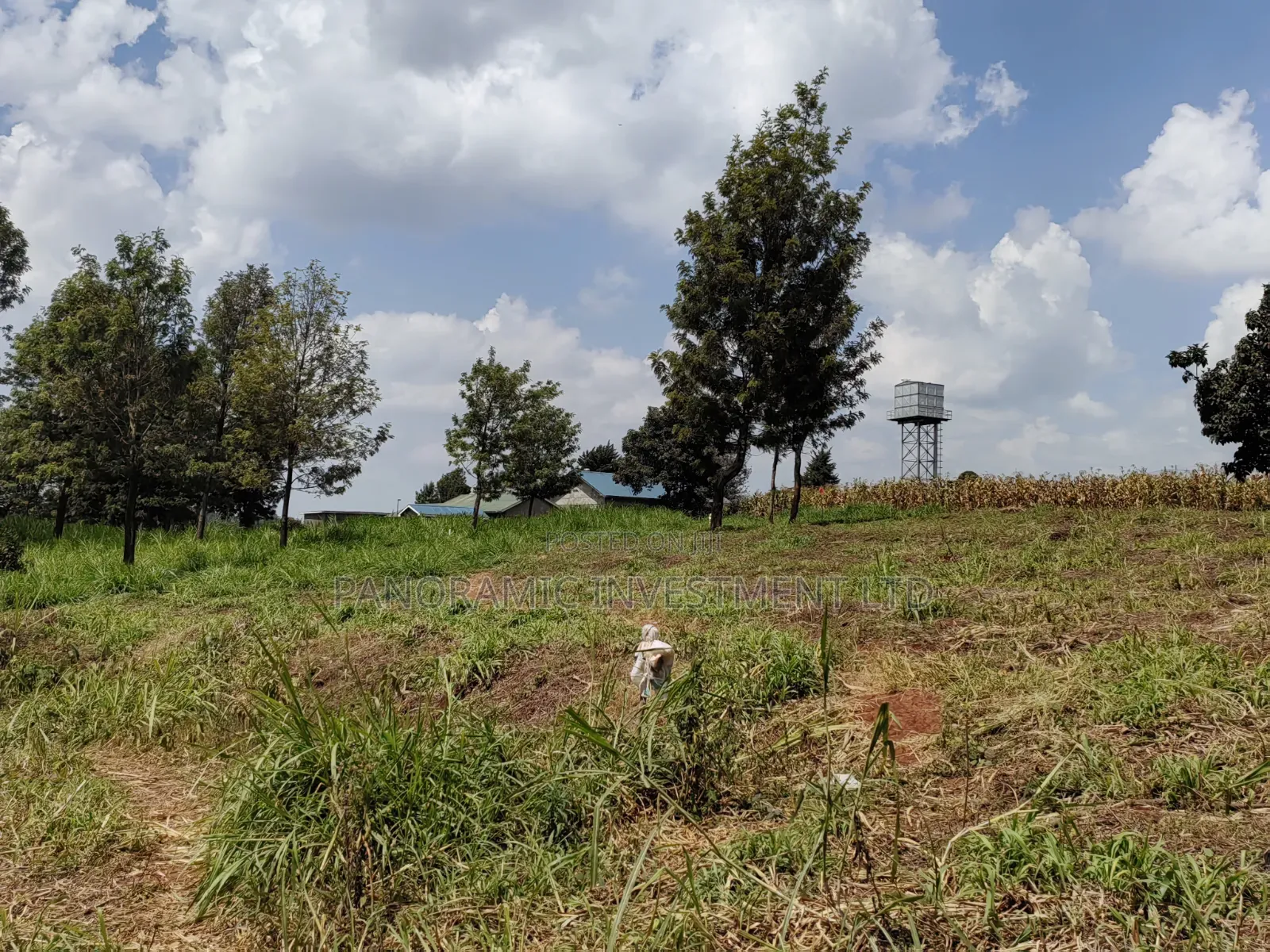 50x100 Plot for Sale in Kikuyu Kiambu County.