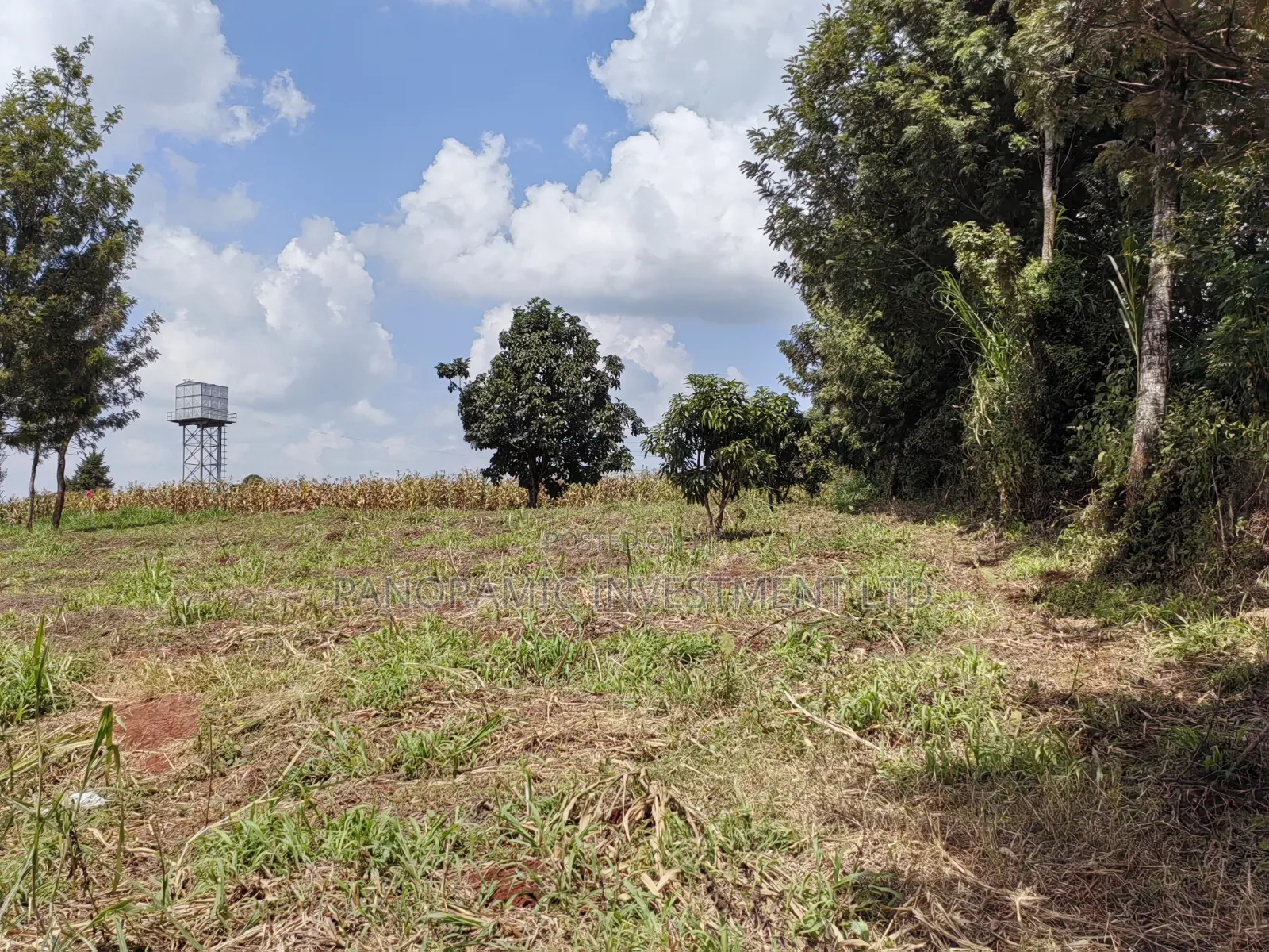 50x100 Plot for Sale in Kikuyu Kiambu County.
