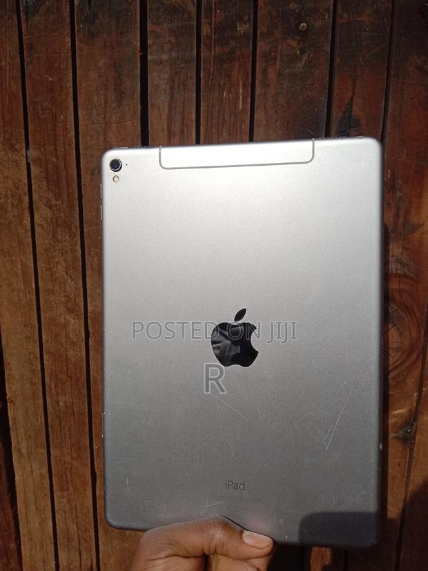 Apple iPad 9.7 256 GB Gray