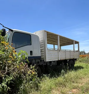 Isuzu FTR 2021