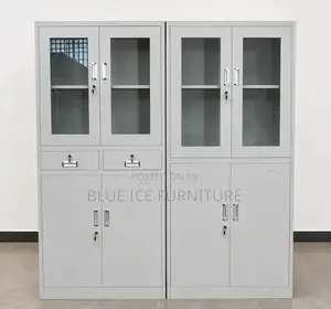 Executive Steel Filing Cabinet With Glass Door-Lockable Storage