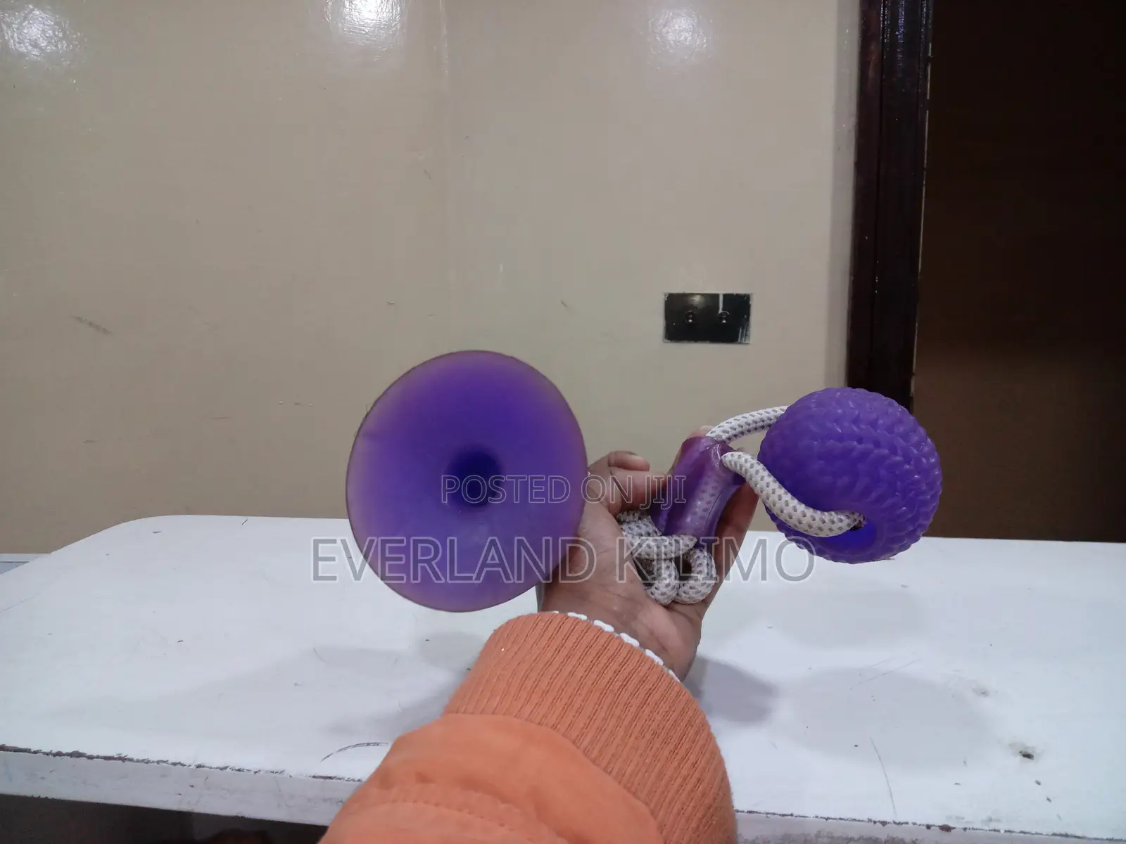 Purple Suction Toy Ball for Dogs