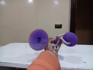 Purple Suction Toy Ball for Dogs