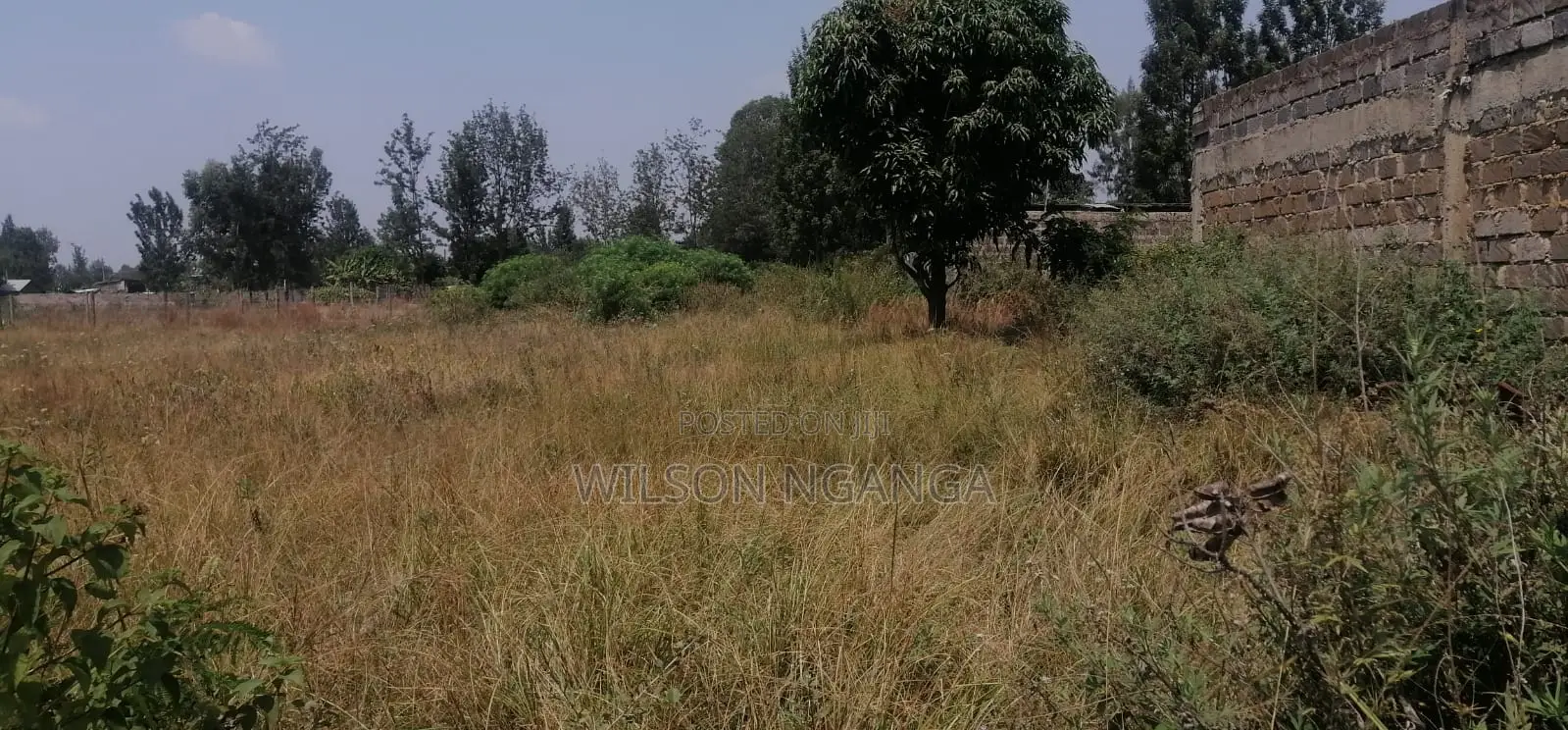Land for Sale in Kenol