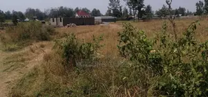 Land for Sale in Kenol
