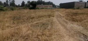 Land for Sale in Kenol