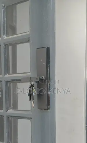 Smart Lock Hot New Product TUYA Finger Print Electric Smart Digit Lock