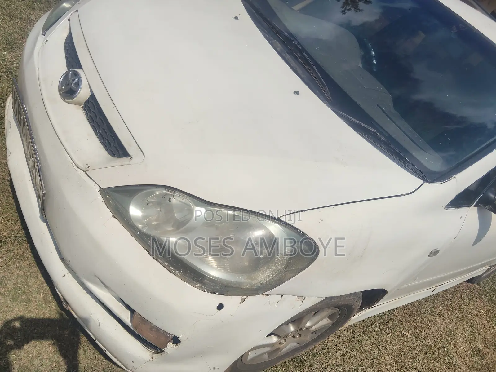 Toyota Ipsum 2005 Pearl