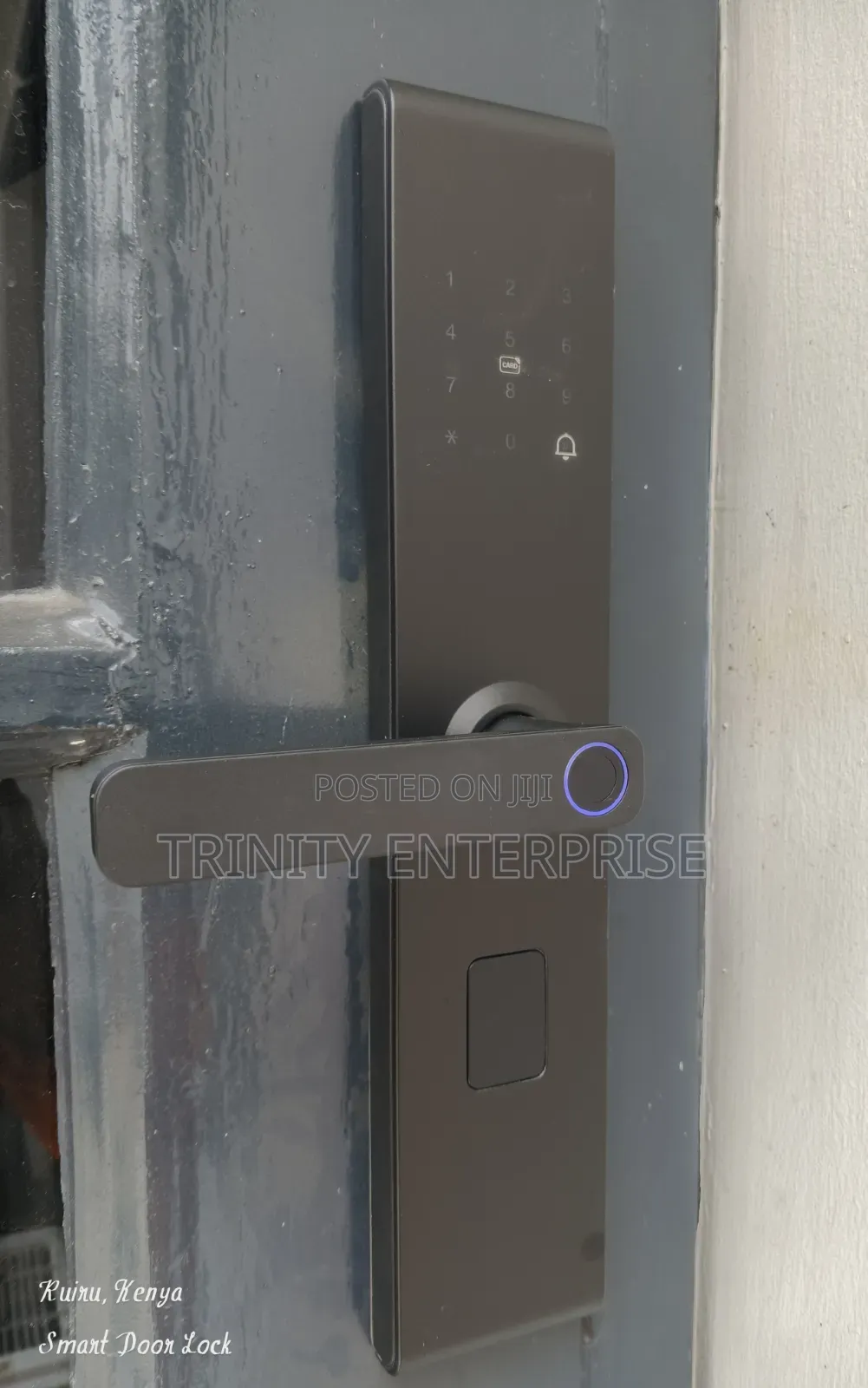 Smart Doors Smart Locks Fingerprint Recognition WiFi