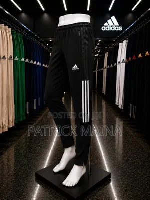 Sports Gear
