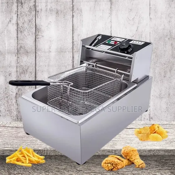 Heavy Duty Kitchen 4l/6l/10l Electric Stainless Steel Deep Fryer