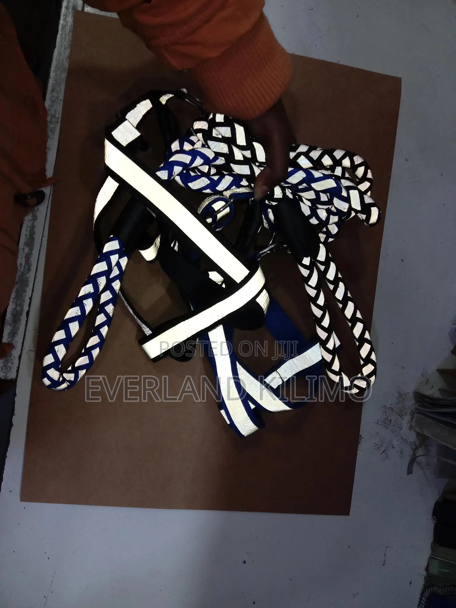 Reflective Leash and Harness