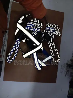 Reflective Leash and Harness