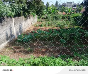 Land for Sale in Kitusuru