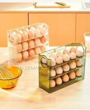 30 Grids Egg Storage Box