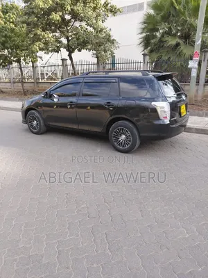 Toyota Corolla Fielder 2010 Black