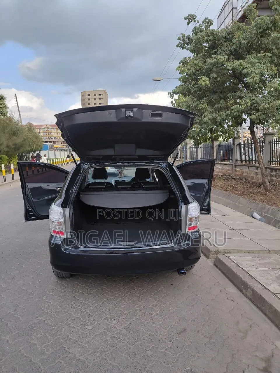 Toyota Corolla Fielder 2010 Black