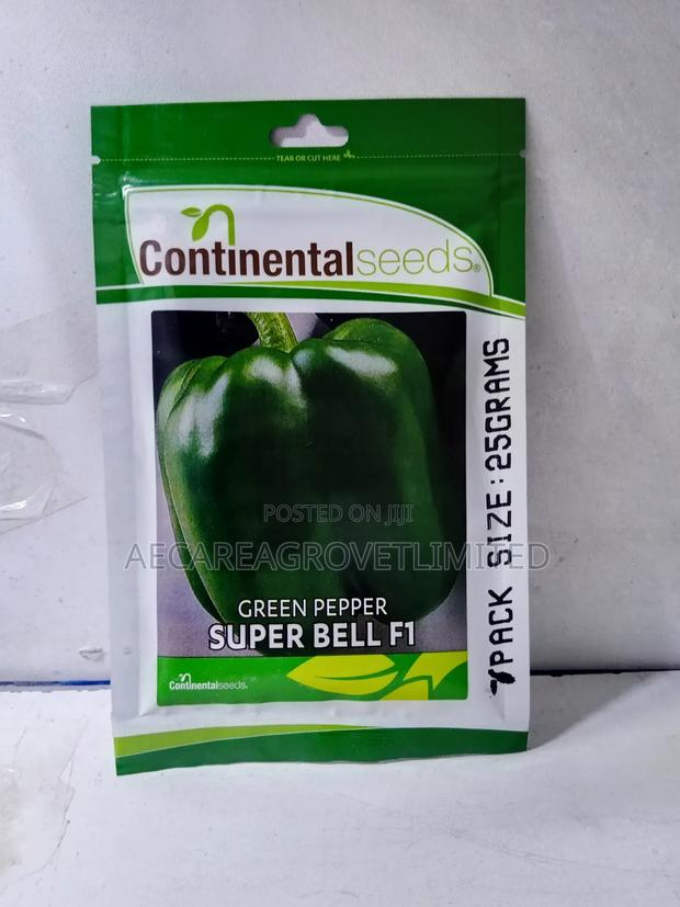 Super Bell F1 Capsicum Green Pepper 25g Hoho