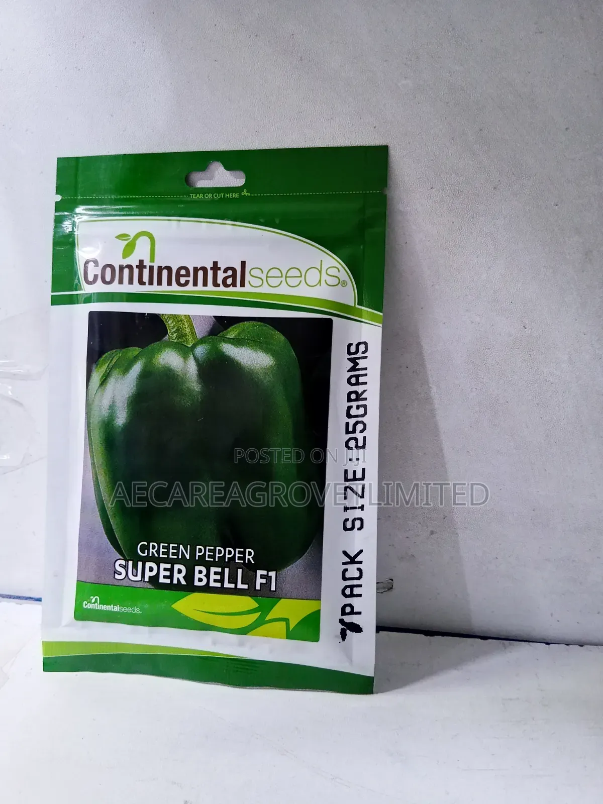 Super Bell F1 Capsicum Green Pepper 25g Hoho