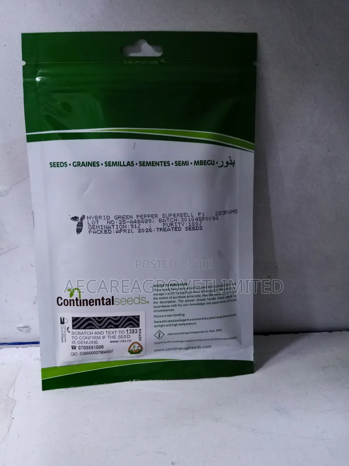 Super Bell F1 Capsicum Green Pepper 25g Hoho