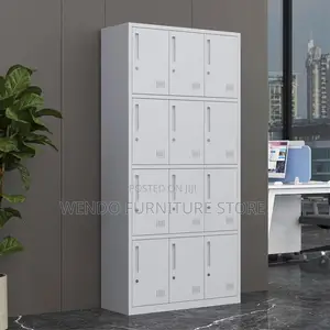 Office Cabinet; Institutional 12 Door Metallic Storage Cabinet