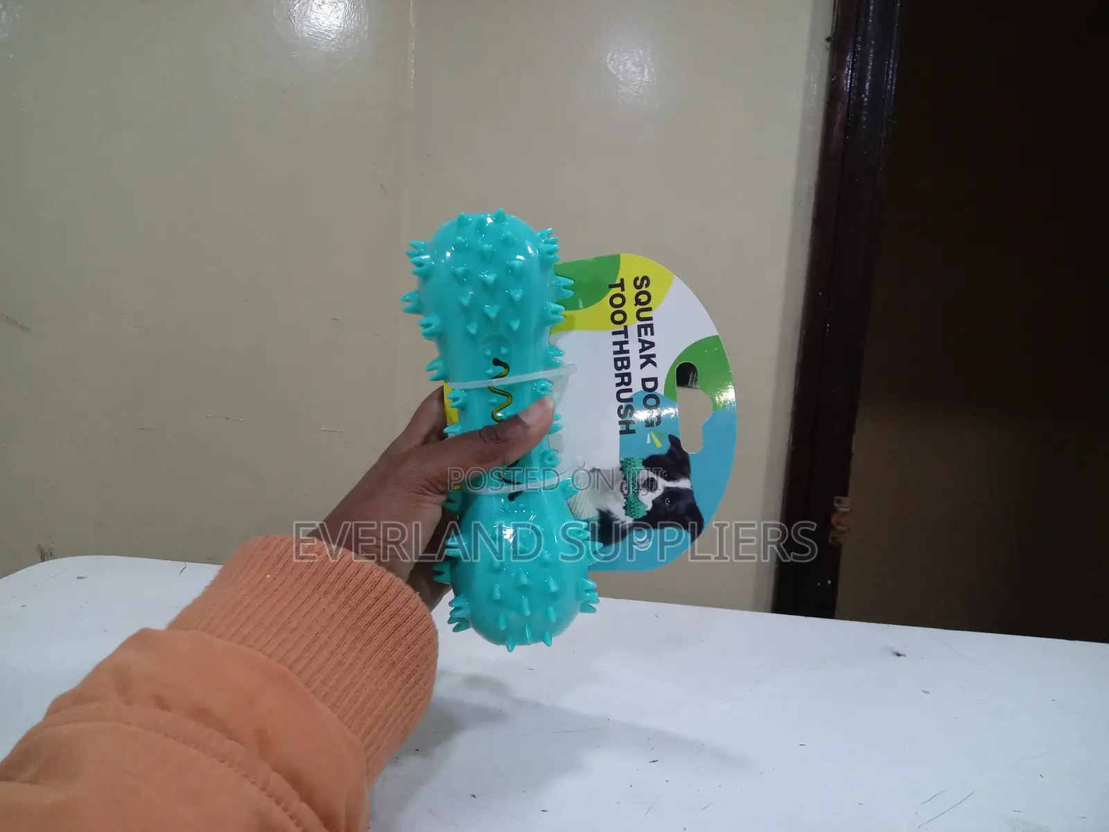 Squeaky Bone-Like Chew Toy