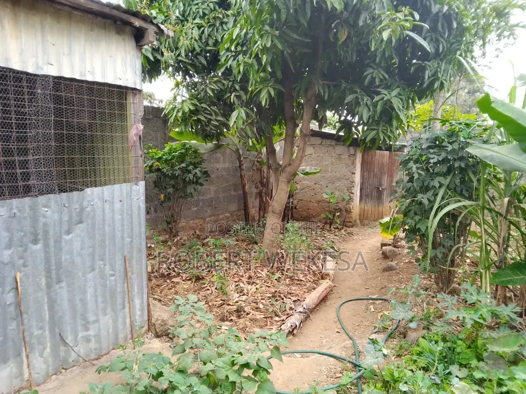 Plot With a Three Bedroom House Another Two Foundation