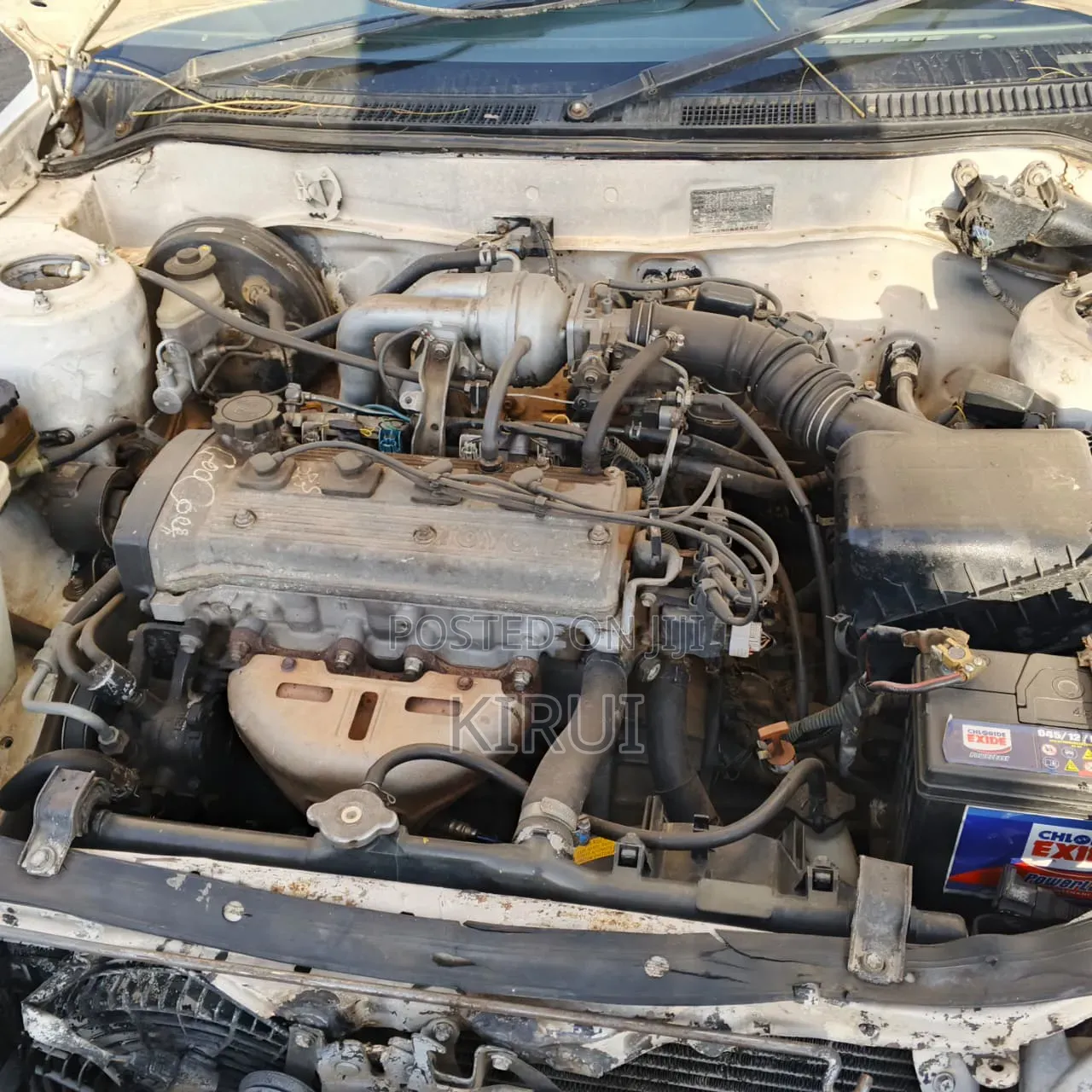 Toyota Corolla 2000 White