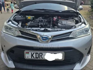 Toyota Corolla Fielder 2018 Silver