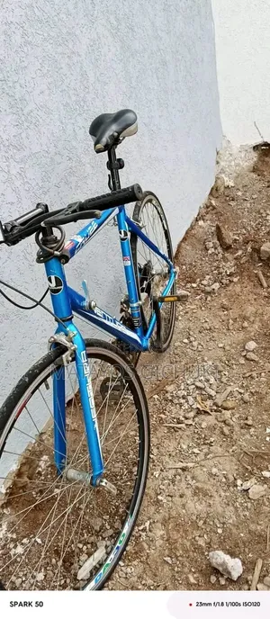 Road Bike/Hybrid