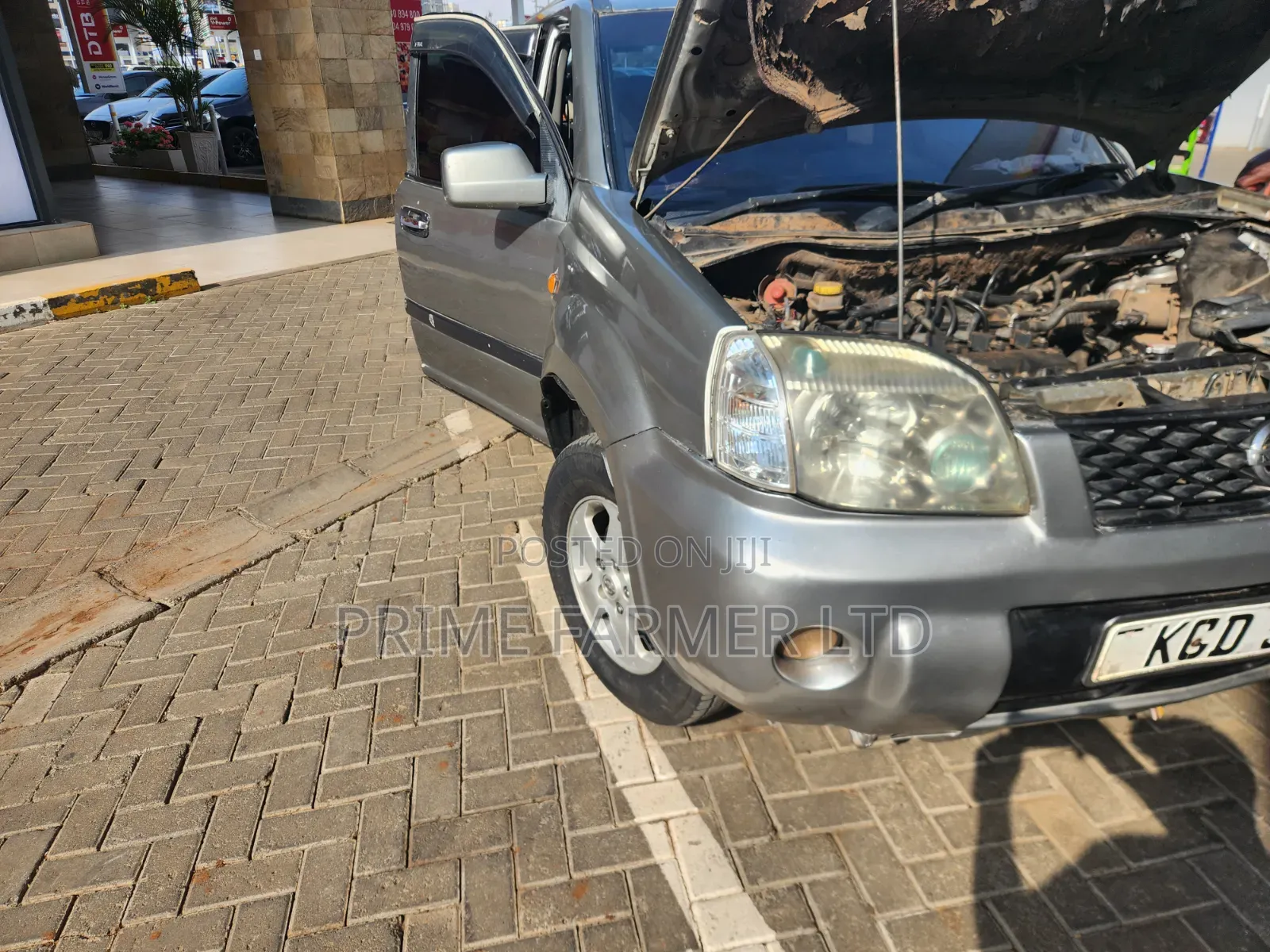 Nissan X-Trail 2006 Gray