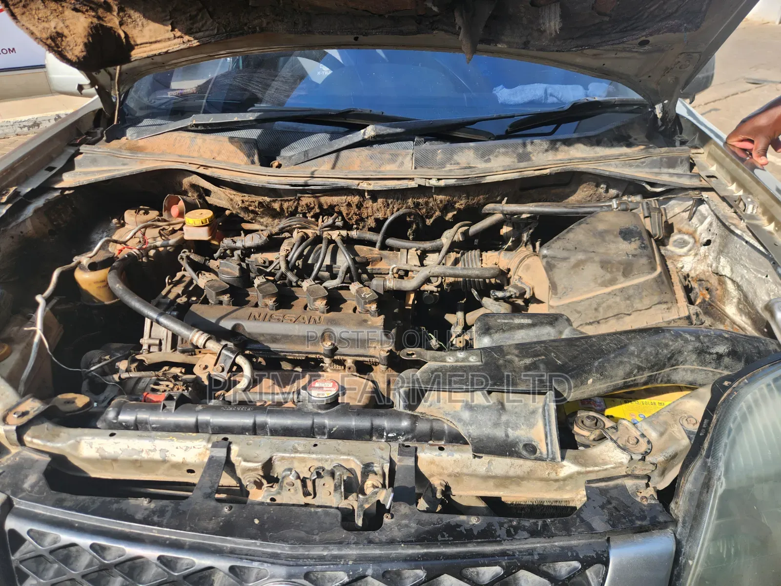 Nissan X-Trail 2006 Gray