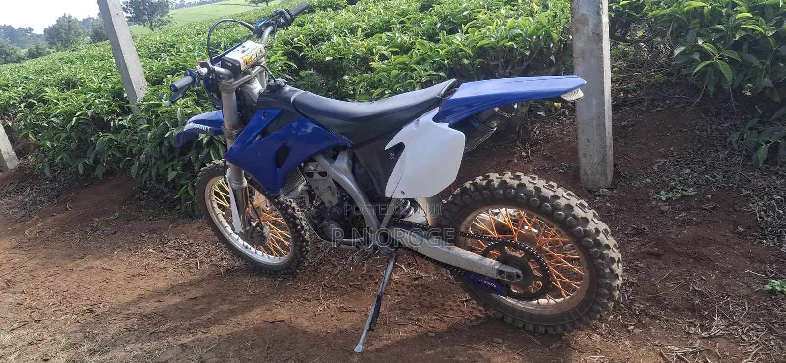 Yamaha 2008 Blue