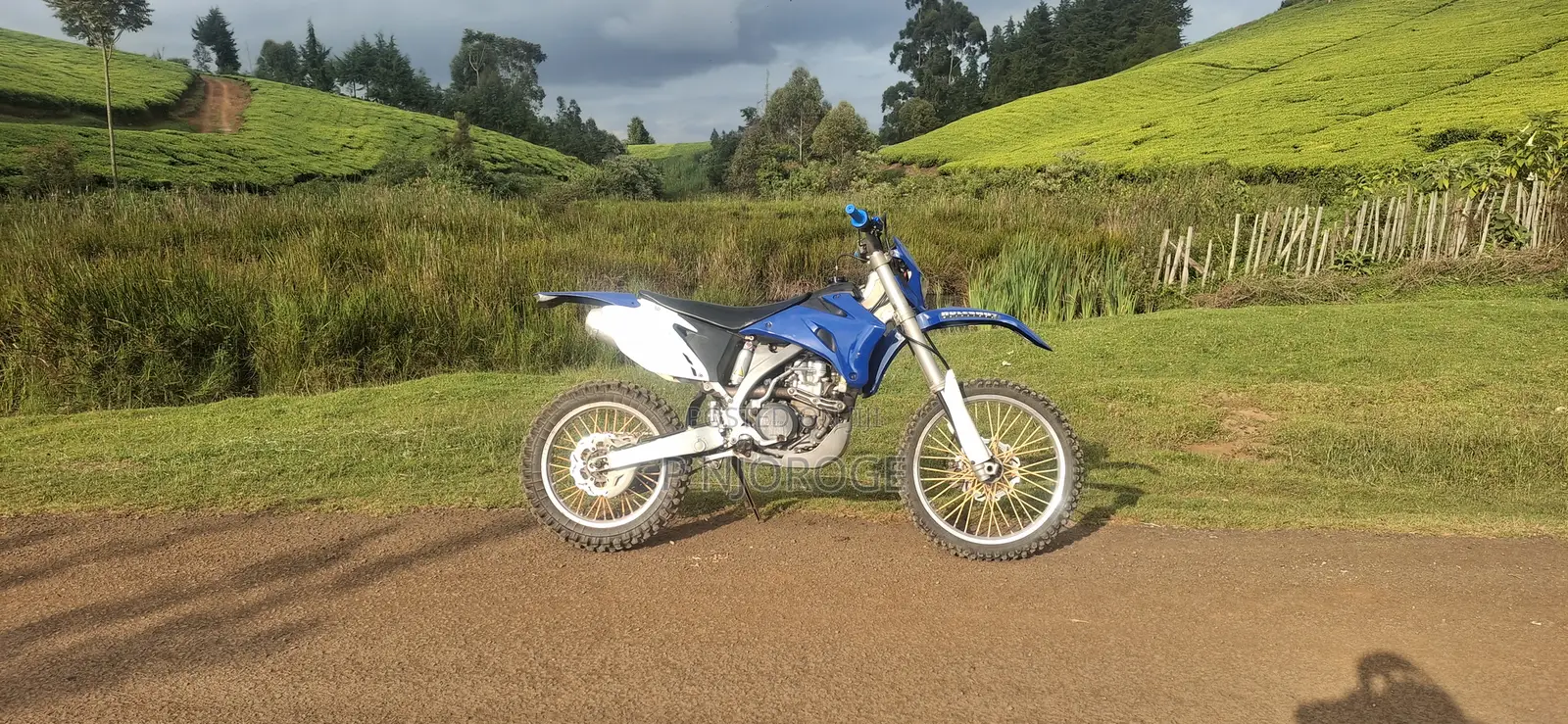 Yamaha 2008 Blue