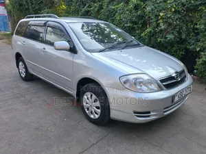 Toyota Corolla Fielder 2005 Silver