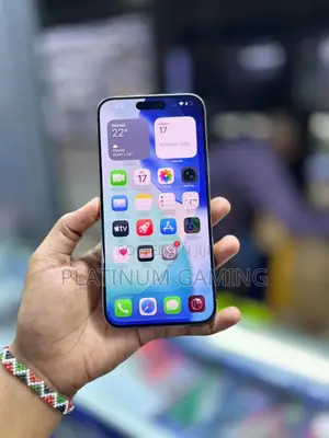 Apple iPhone 15 Pro Max 256 GB Gray