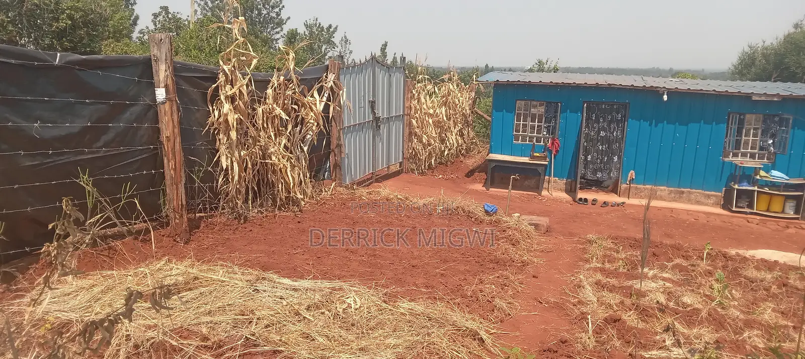 50×100 Plot for Sale.Ideal for Farming and Livestock Keeping. At Kagio