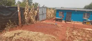 50×100 Plot for Sale.Ideal for Farming and Livestock Keeping. At Kagio