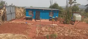 50×100 Plot for Sale.Ideal for Farming and Livestock Keeping. At Kagio